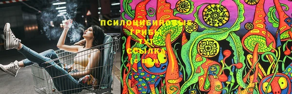 молекула духа Пересвет