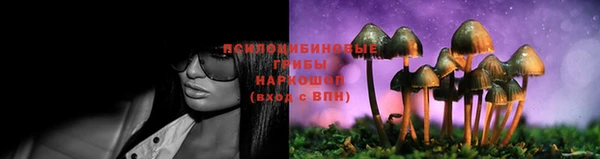 гидра Покровск