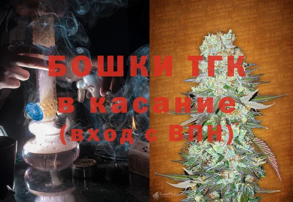 молекула духа Пересвет