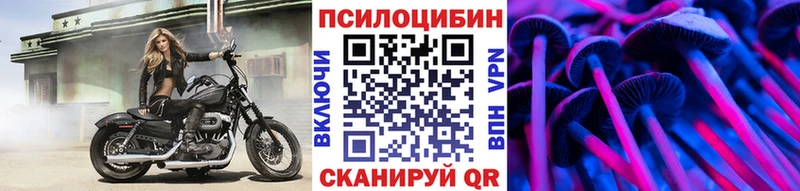 Псилоцибиновые грибы GOLDEN TEACHER  Болхов 